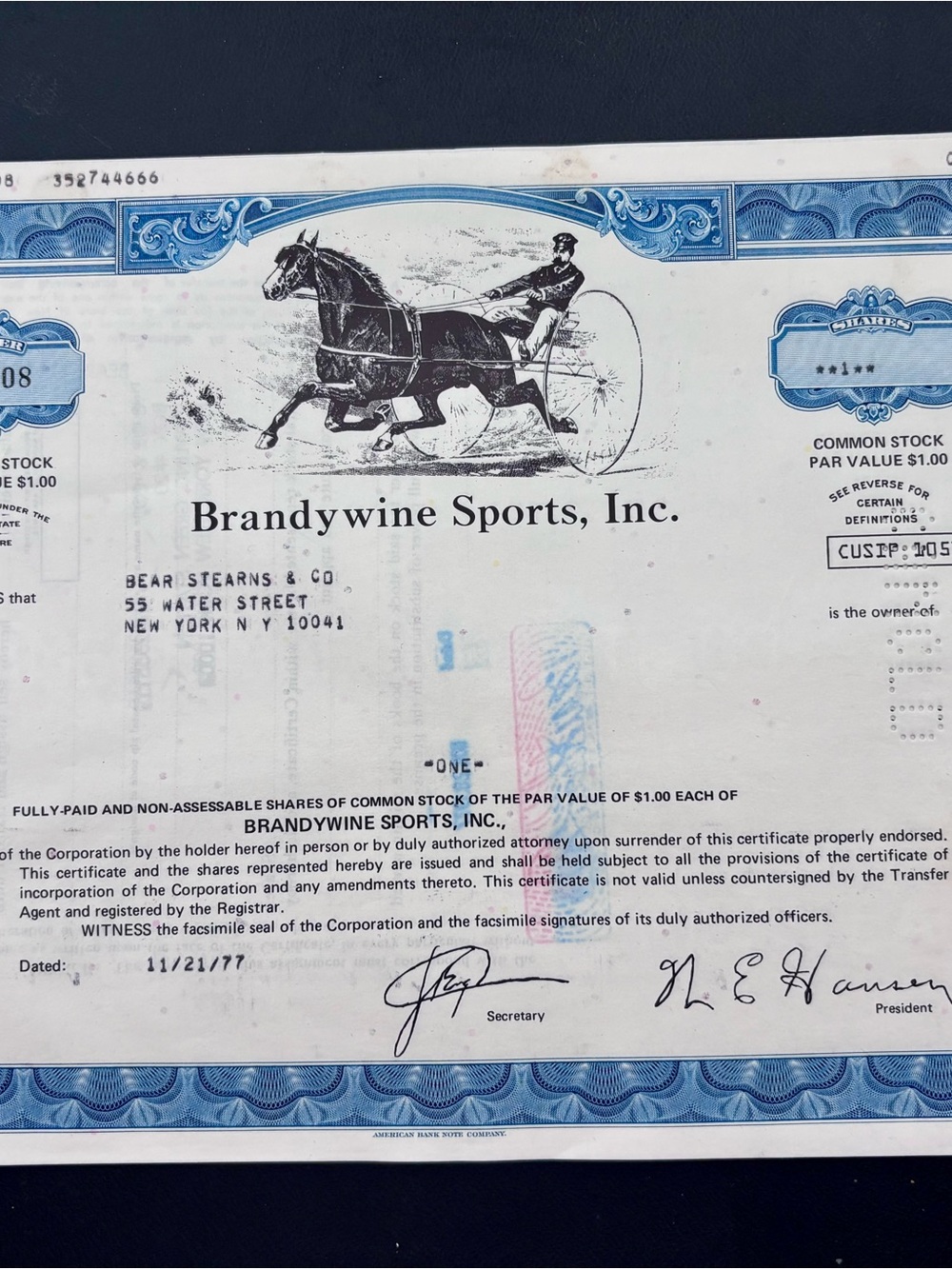 Vintage Brandywine Sports, Inc Stock Certificate